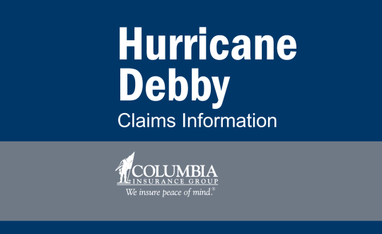 Blue and grey two-toned graphic that reads "Hurricane Debby Claims Info"